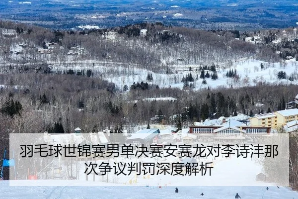 羽毛球世锦赛男单决赛安赛龙对李诗沣那次争议判罚深度解析
