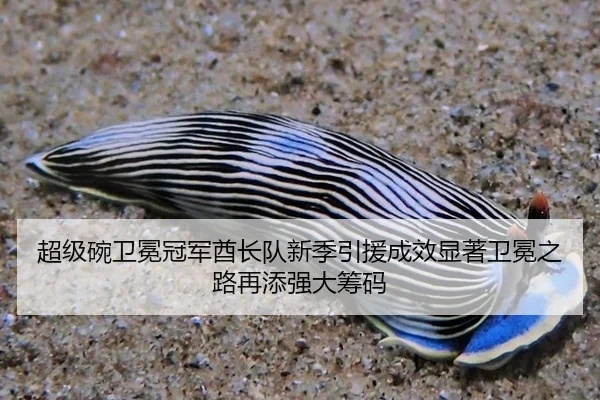 chao-ji-wan-wei-mian-guan-jun-qiu-zhang-dui-xin-ji-yin-yuan-cheng-xiao-xian-zhu-wei-mian-zhi-lu-zai-tian-qiang-da-chou-2-542.jpg